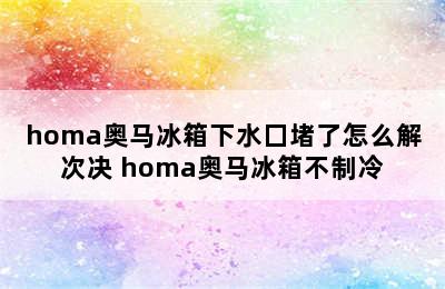 homa奥马冰箱下水囗堵了怎么解次决 homa奥马冰箱不制冷